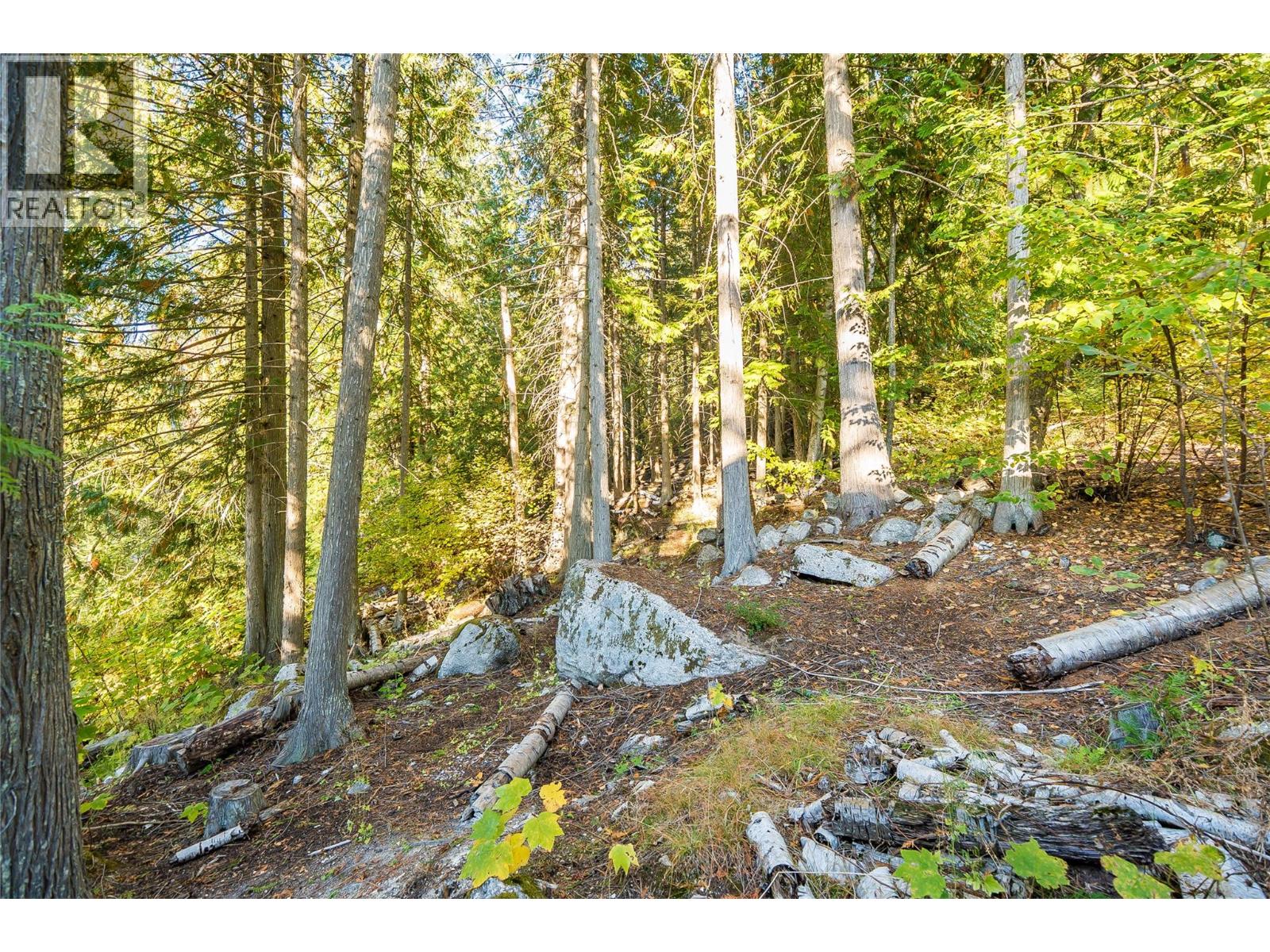 2129 Svoboda Road, Nelson, British Columbia  V1L 3V3 - Photo 70 - 10386644