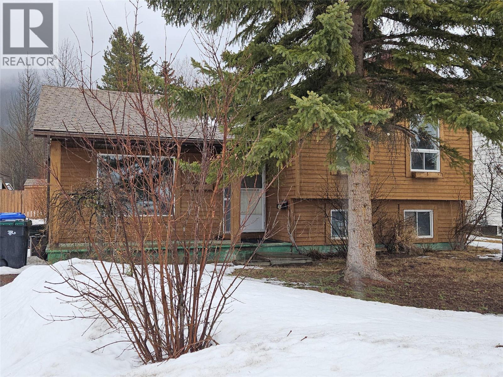 143 Kiskatinaw Crescent, Tumbler Ridge, British Columbia  V0C 2W0 - Photo 48 - 10385297