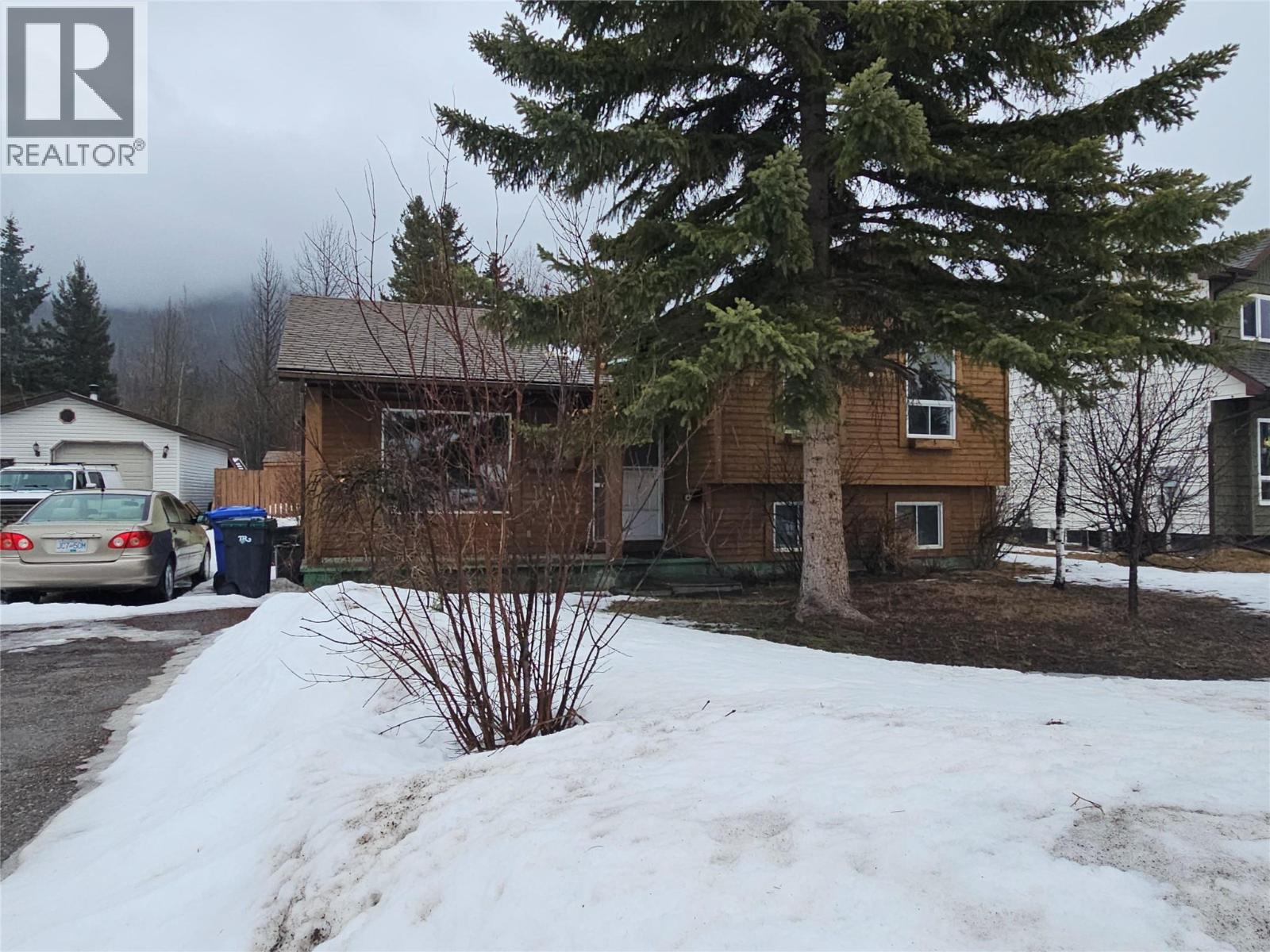 143 Kiskatinaw Crescent, Tumbler Ridge, British Columbia  V0C 2W0 - Photo 49 - 10385297