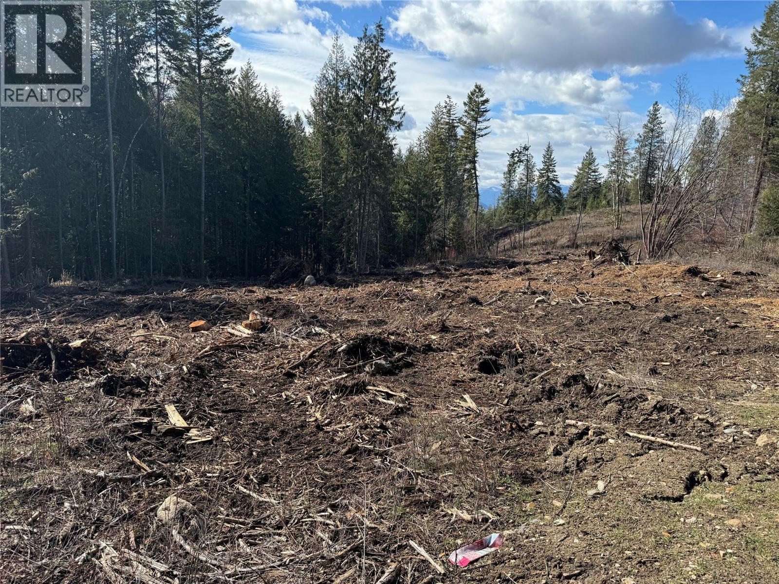 Ranch Road Lot# Lot B, Vernon, British Columbia  V1B 3J9 - Photo 4 - 10386783