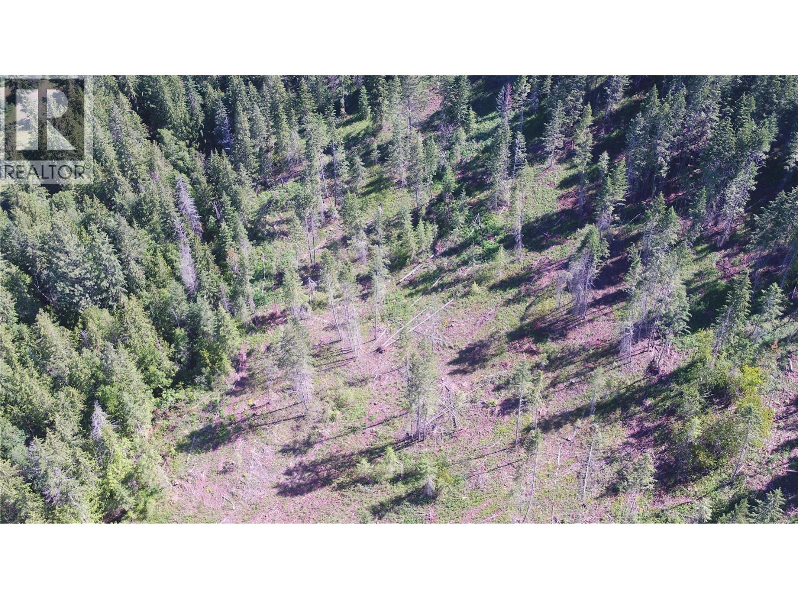 Ranch Road Lot# Lot A, Vernon, British Columbia  V1B 3J9 - Photo 11 - 10386774
