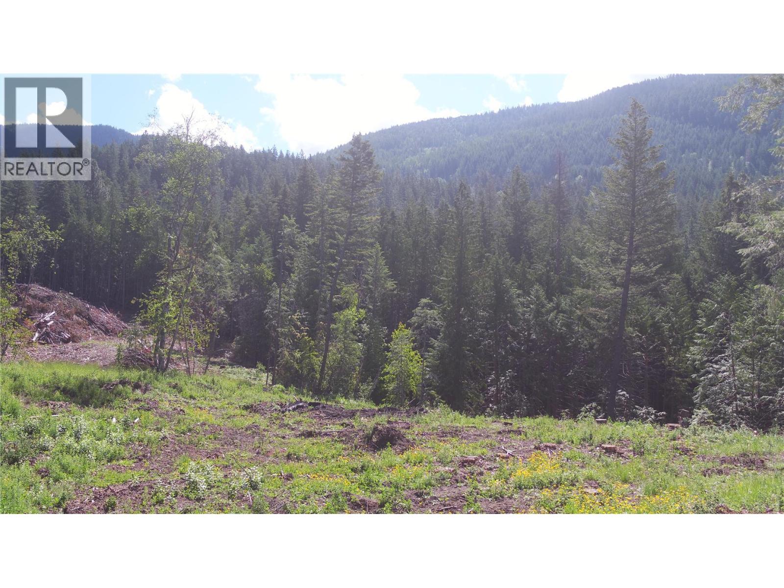 Ranch Road Lot# Lot A, Vernon, British Columbia  V1B 3J9 - Photo 18 - 10386774