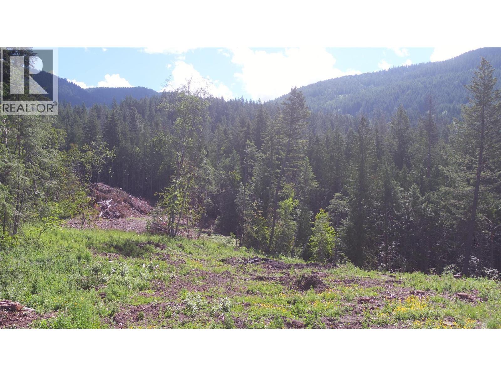 Ranch Road Lot# Lot A, Vernon, British Columbia  V1B 3J9 - Photo 5 - 10386774