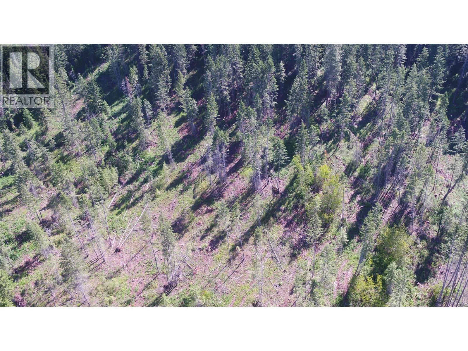 Ranch Road Lot# Lot A, Vernon, British Columbia  V1B 3J9 - Photo 7 - 10386774