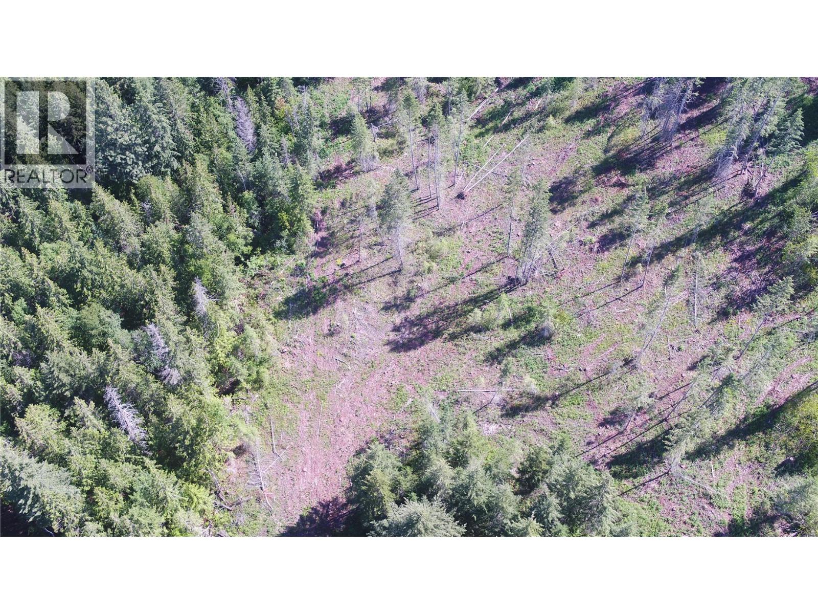 Ranch Road Lot# Lot A, Vernon, British Columbia  V1B 3J9 - Photo 8 - 10386774