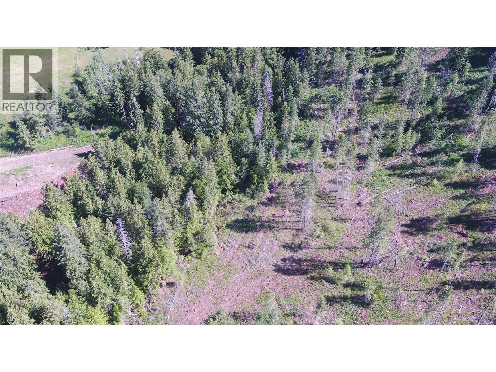 Ranch Road Lot# Lot A, Vernon, British Columbia  V1B 3J9 - Photo 9 - 10386774