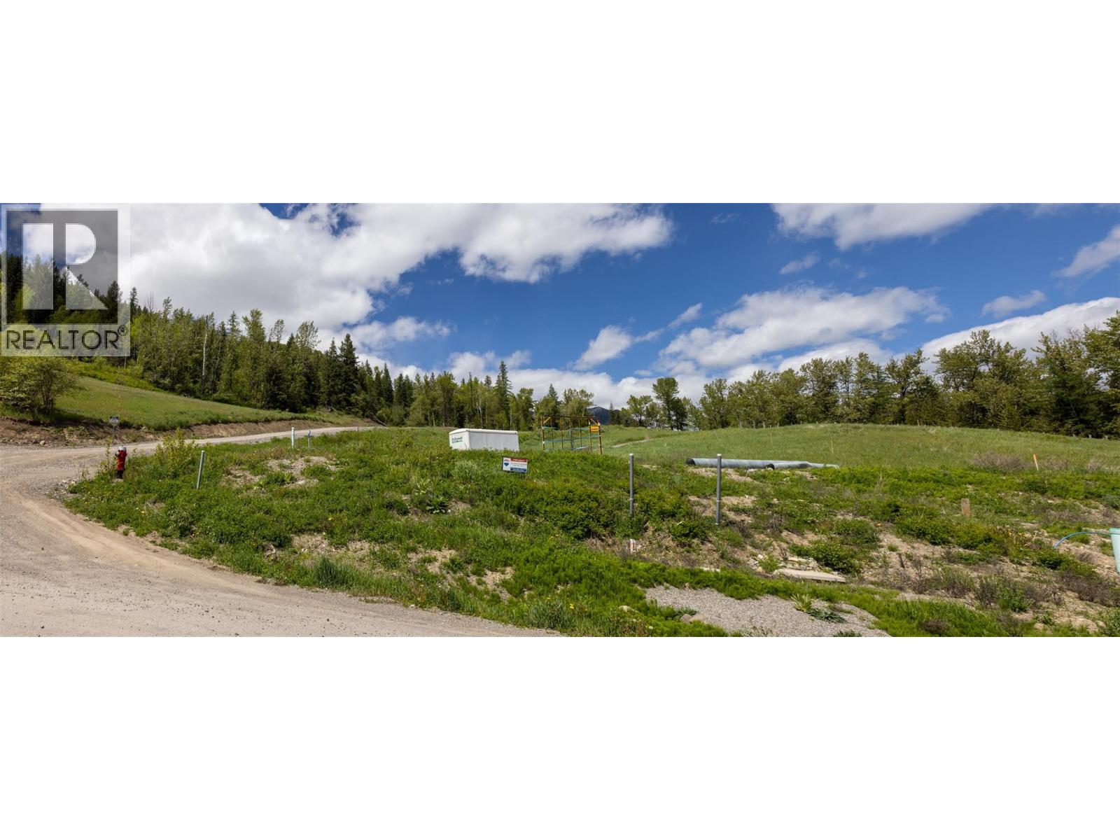1683 Mcleod Avenue, Fernie, British Columbia  V0B 1M1 - Photo 23 - 10386602