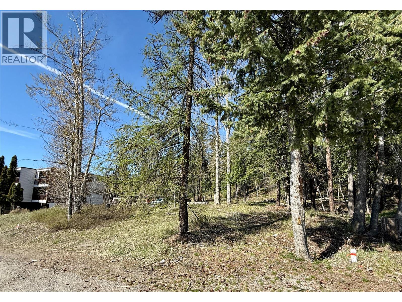 205a Norton Avenue, Kimberley, British Columbia  V1A 1Y1 - Photo 3 - 10385312