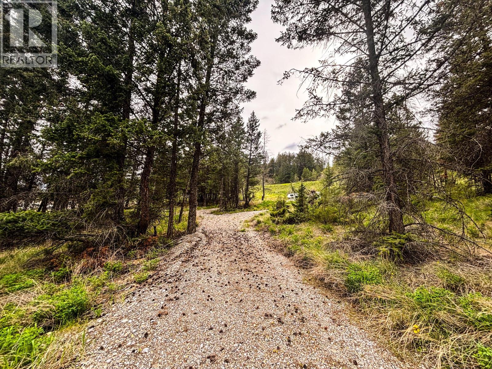 Lot A Columbia Lake Road, Fairmont Hot Springs, British Columbia  V0B 1L2 - Photo 11 - 10386840