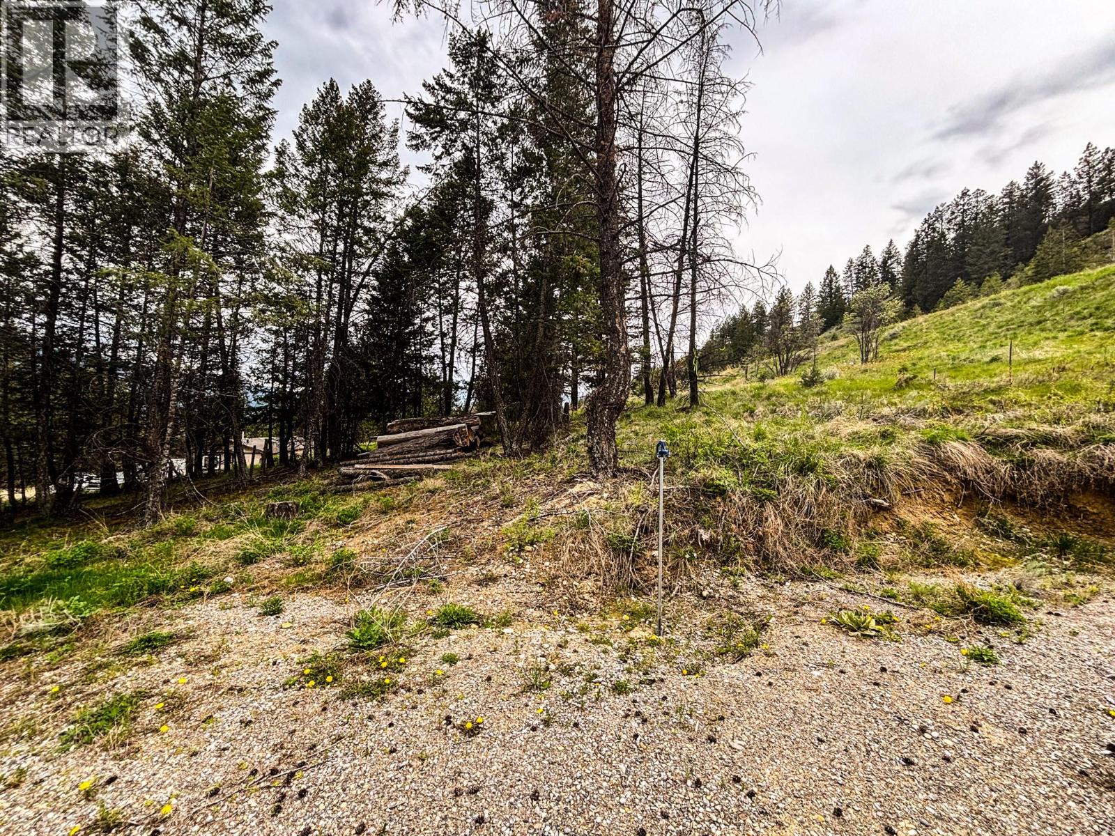 Lot A Columbia Lake Road, Fairmont Hot Springs, British Columbia  V0B 1L2 - Photo 12 - 10386840