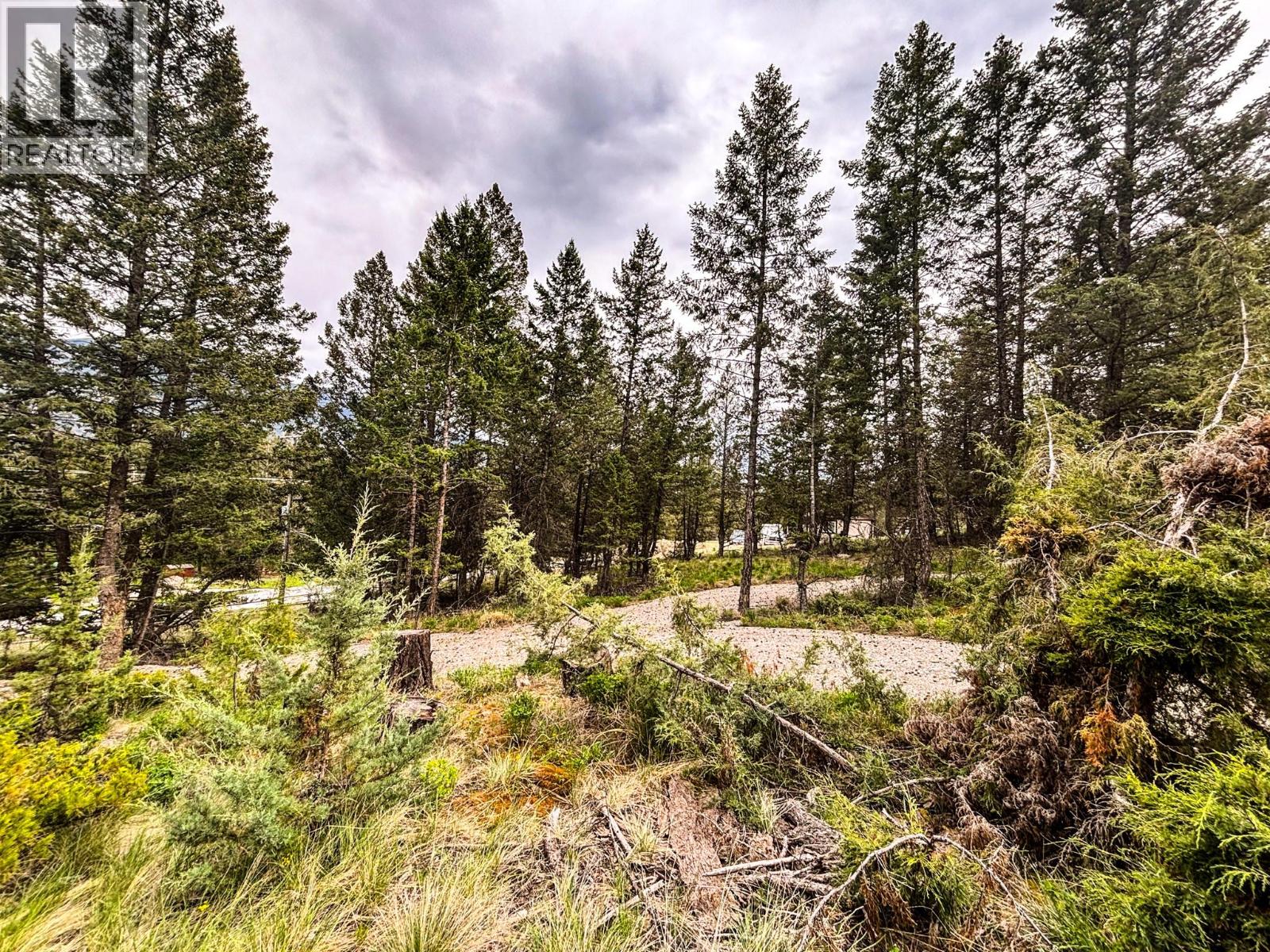 Lot A Columbia Lake Road, Fairmont Hot Springs, British Columbia  V0B 1L2 - Photo 16 - 10386840