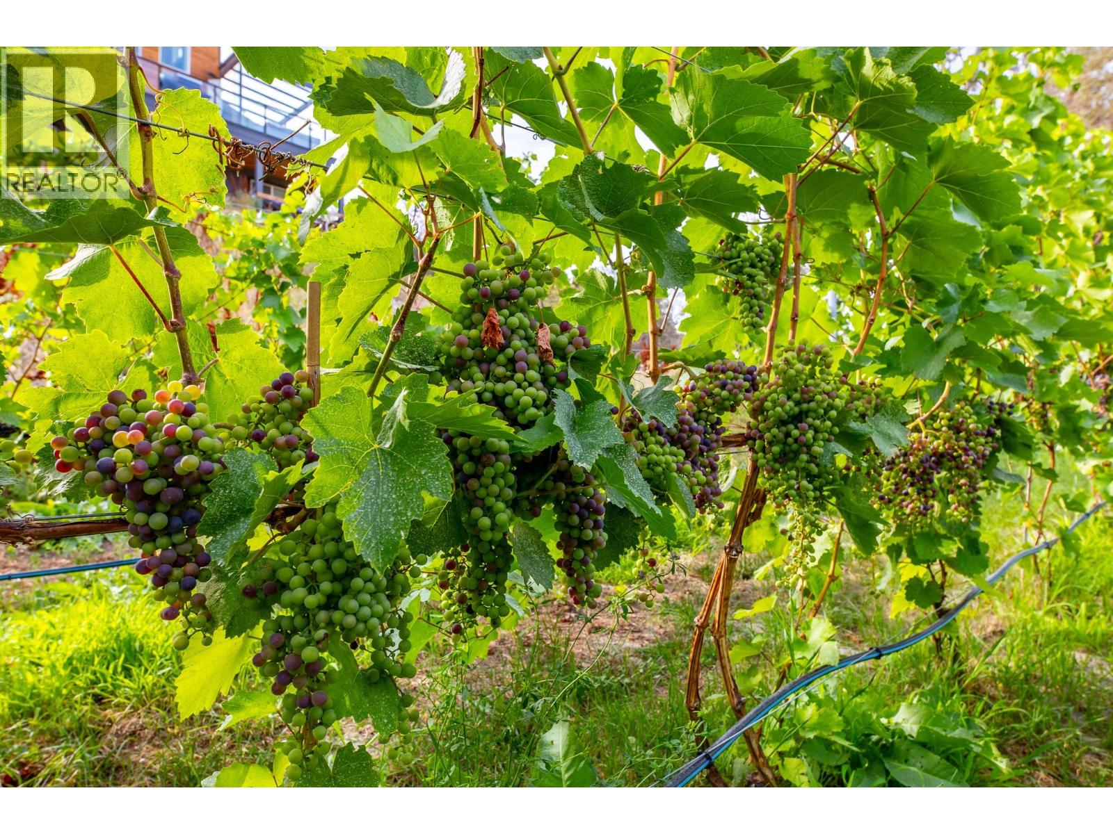 9003 Gilman Road, Summerland, British Columbia  V0H 1Z2 - Photo 43 - 10386771