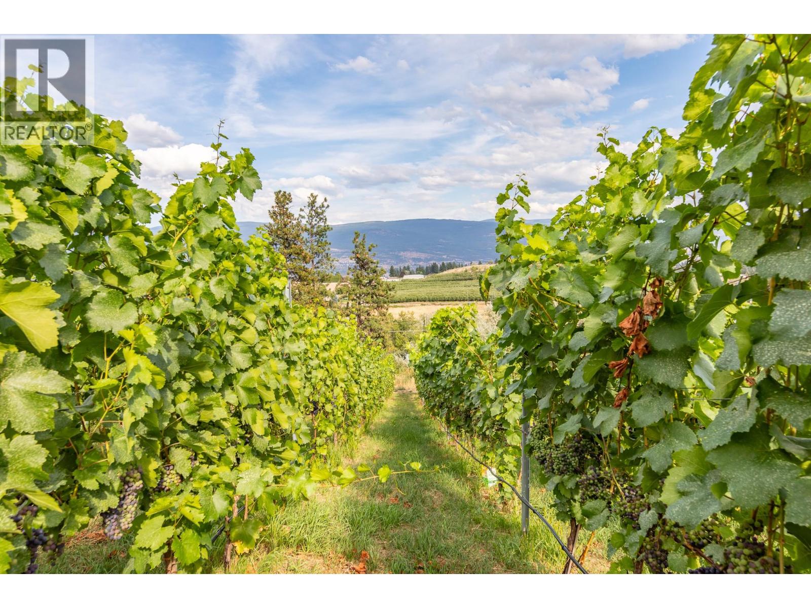 9003 Gilman Road, Summerland, British Columbia  V0H 1Z2 - Photo 46 - 10386771