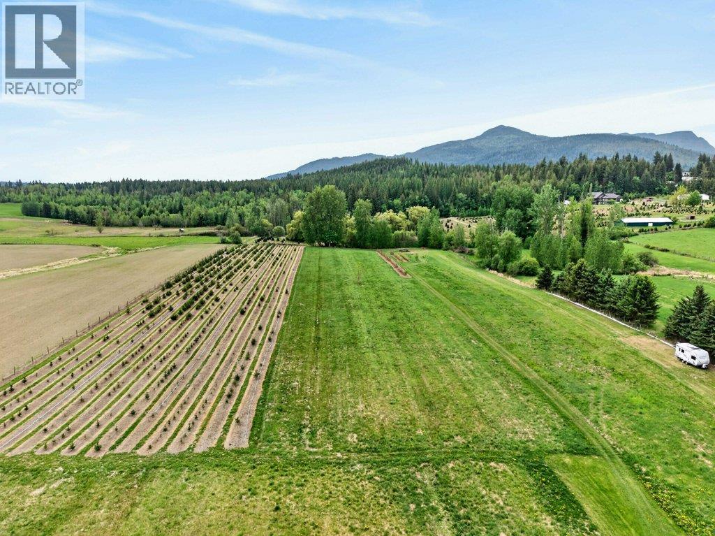 3930 10 Avenue Ne, Salmon Arm, British Columbia  V1E 2S2 - Photo 86 - 10386377