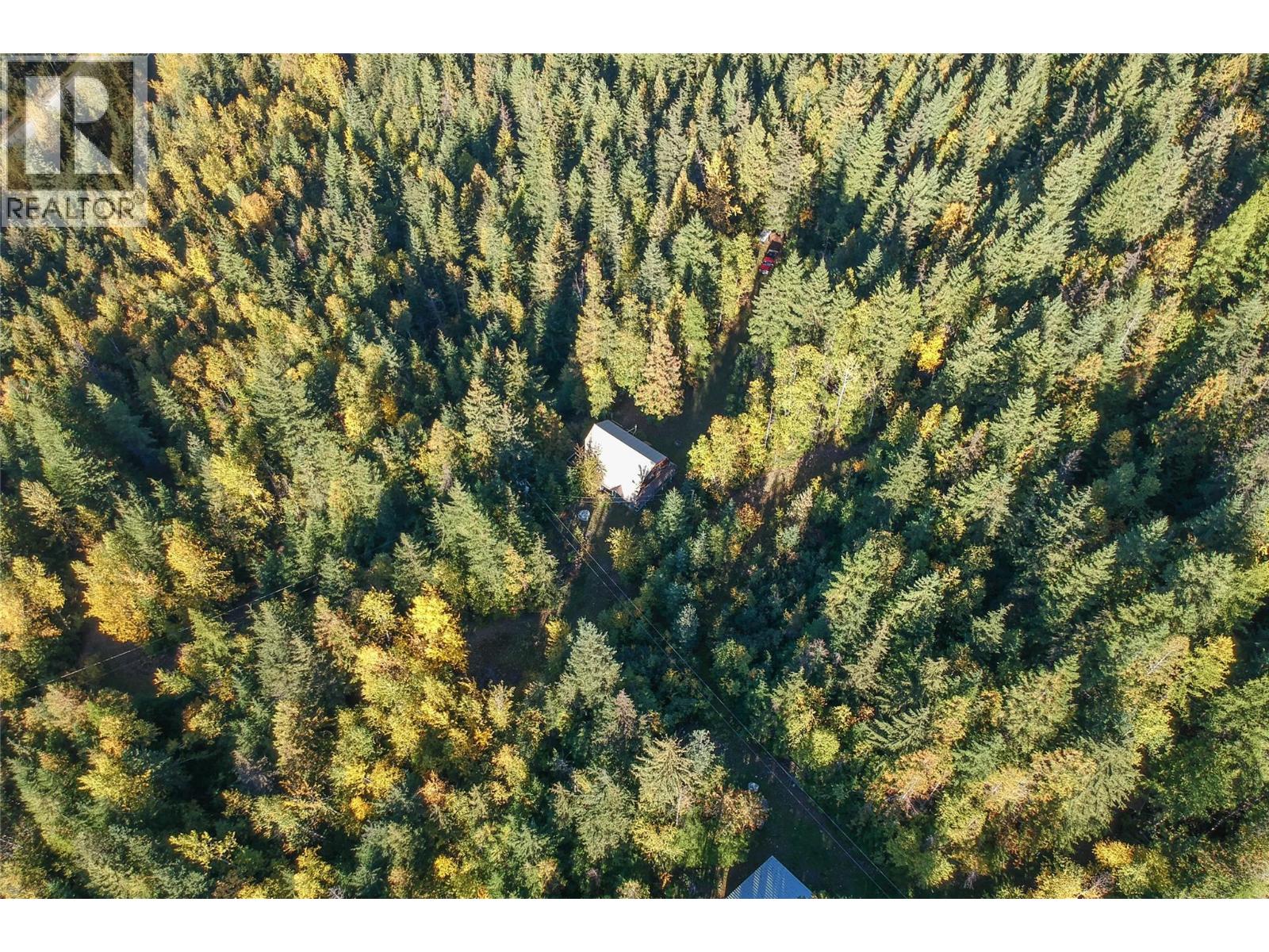 3217 Lumby Mabel Lake Road, Lumby, British Columbia  V0E 2G6 - Photo 25 - 10387162