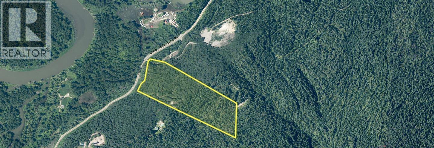 3217 Lumby Mabel Lake Road, Lumby, British Columbia  V0E 2G6 - Photo 31 - 10387162