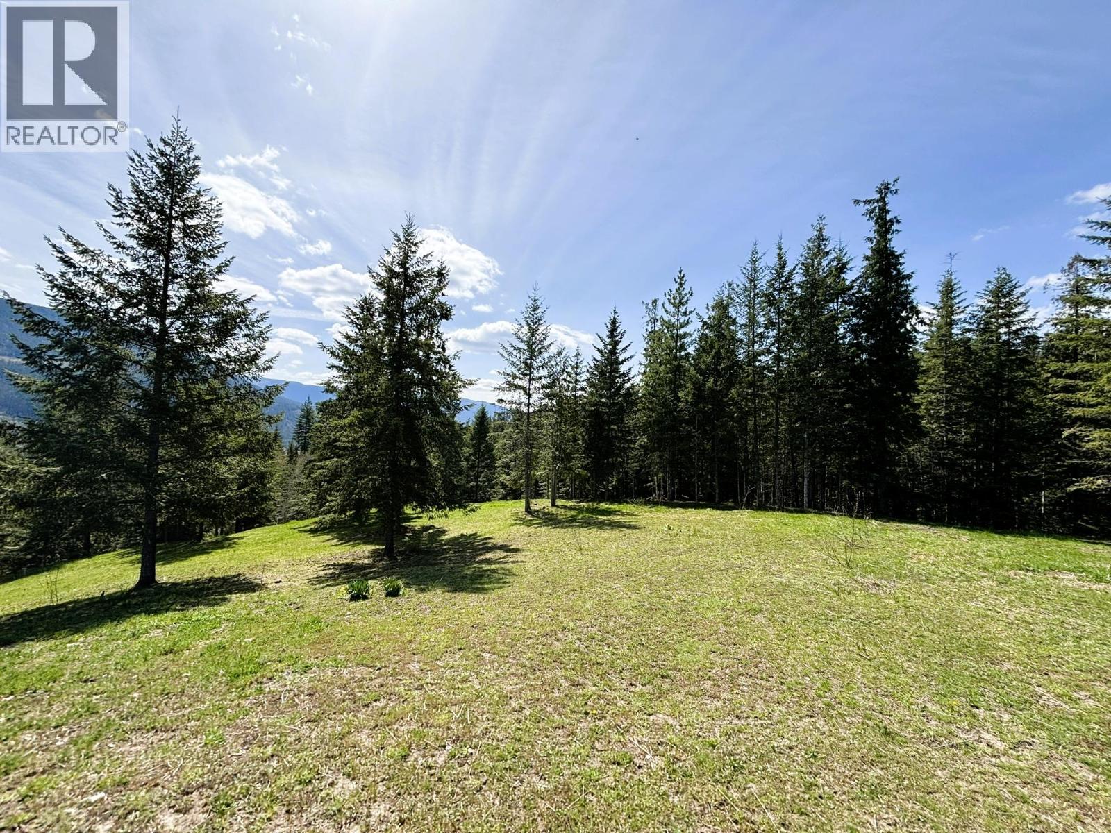 1425 Bobbie Burns Road, Lumby, British Columbia  V0E 2C4 - Photo 11 - 10387177