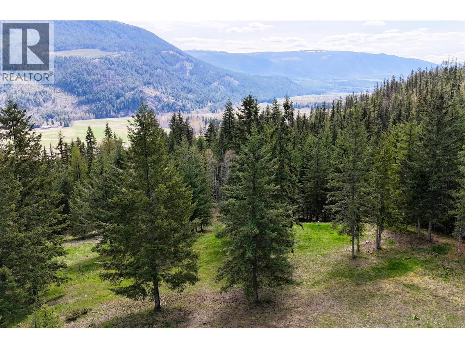1425 Bobbie Burns Road, Lumby, British Columbia  V0E 2C4 - Photo 12 - 10387177