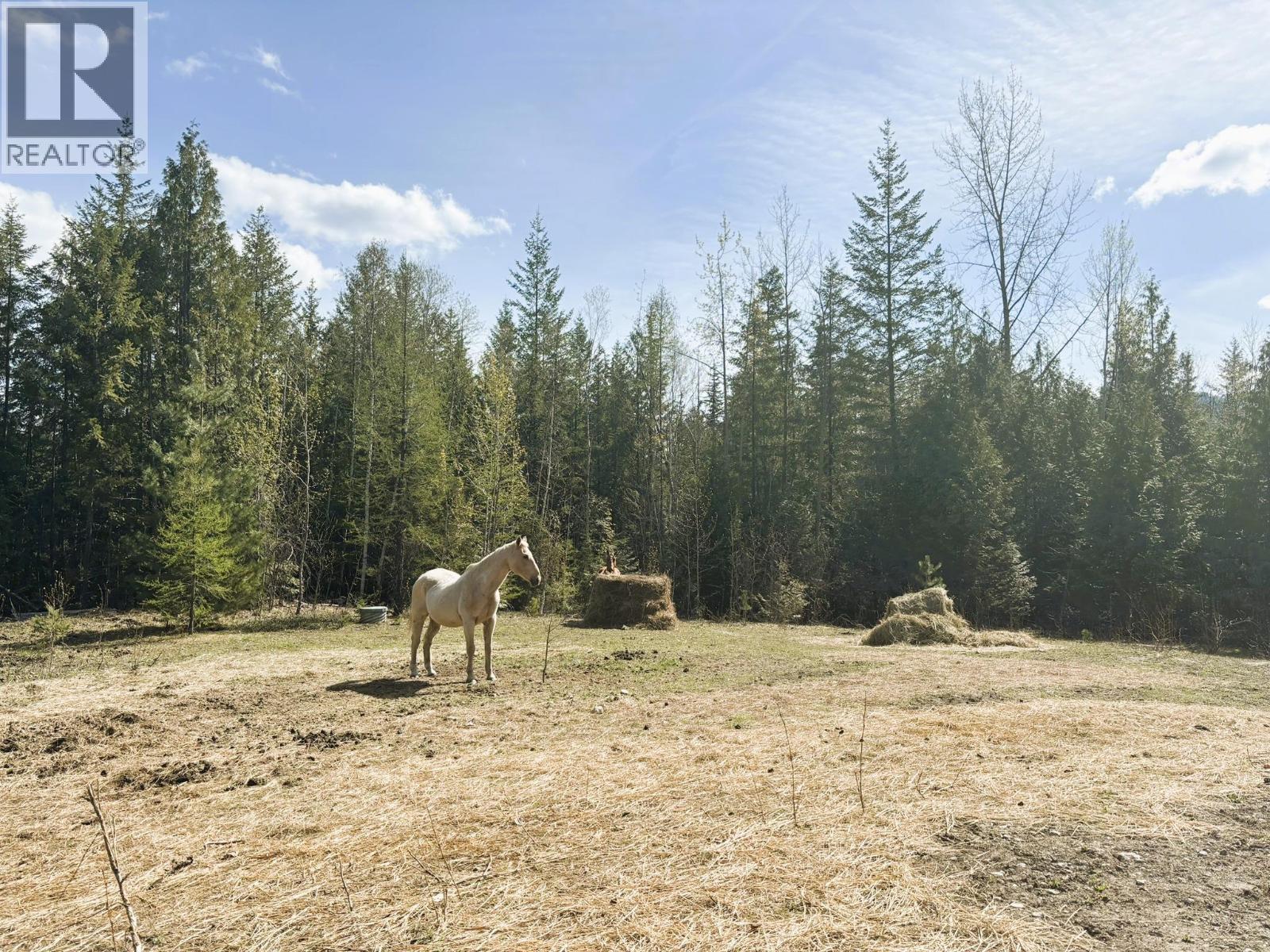 1425 Bobbie Burns Road, Lumby, British Columbia  V0E 2C4 - Photo 16 - 10387177