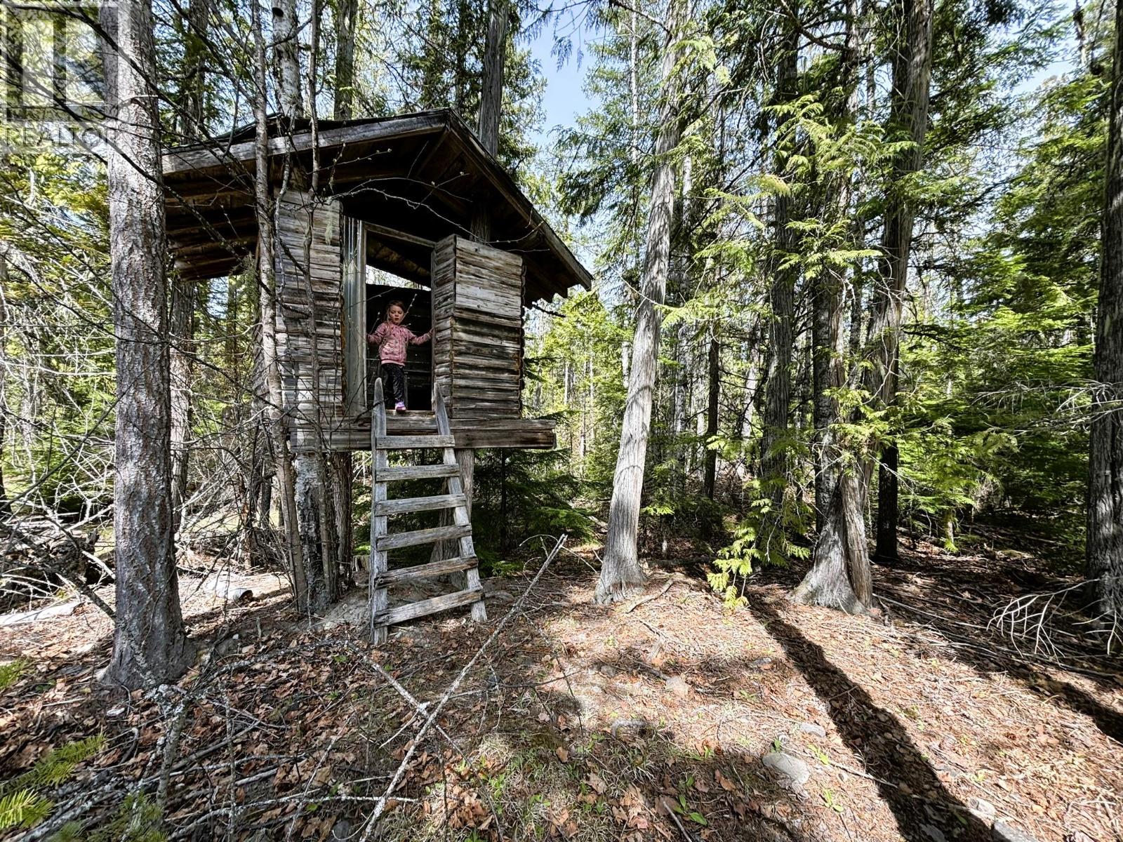1425 Bobbie Burns Road, Lumby, British Columbia  V0E 2C4 - Photo 39 - 10387177