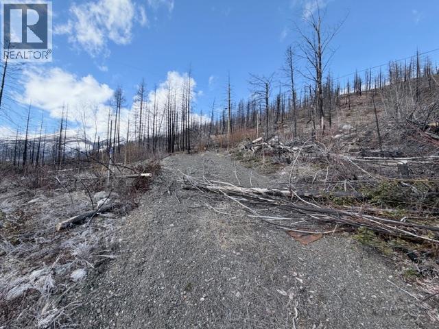 14174 Gun Lake Rd West Road, Gold Bridge, British Columbia  V0K 1P0 - Photo 6 - 10387001