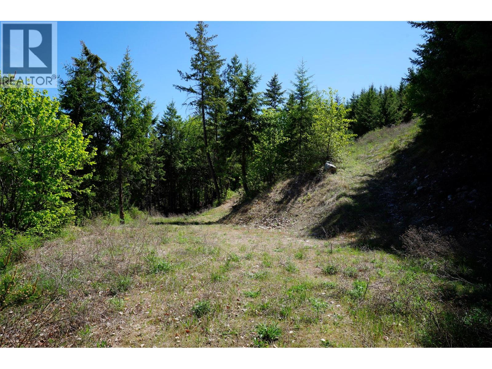 Lot 12 Lower Arrow Lake Road, Castlegar, British Columbia  V1N 3N3 - Photo 39 - 10386346