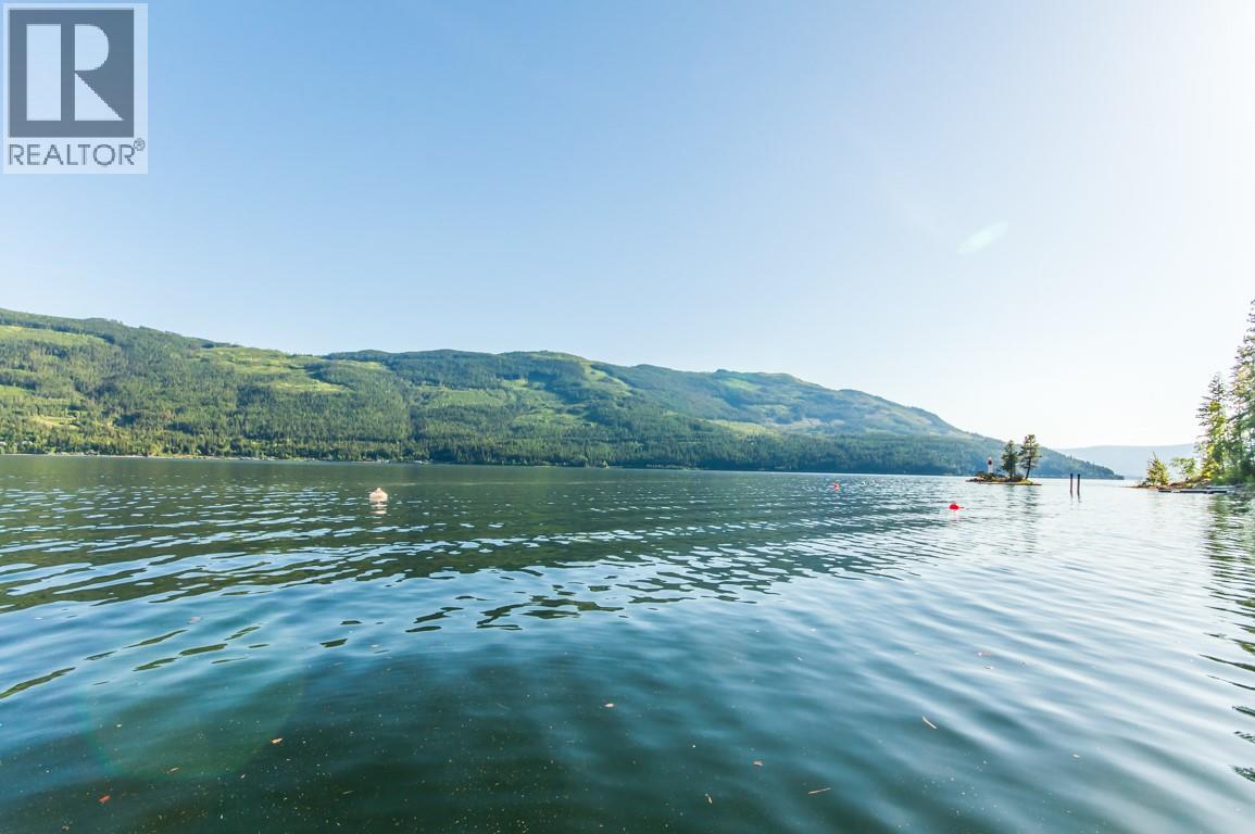 6432 Sunnybrae Canoe-Point Road Lot# 5, Tappen, British Columbia  V0E 2X1 - Photo 8 - 10387243