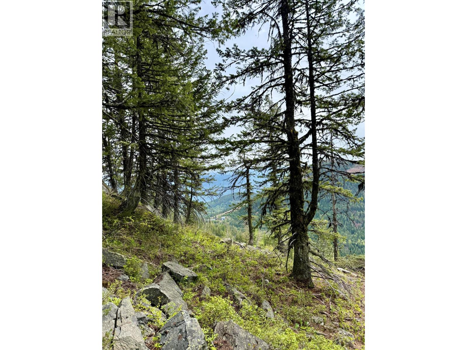Dl640 Granite Mountain Road, Rossland, British Columbia  V0G 1Y0 - Photo 10 - 10386846