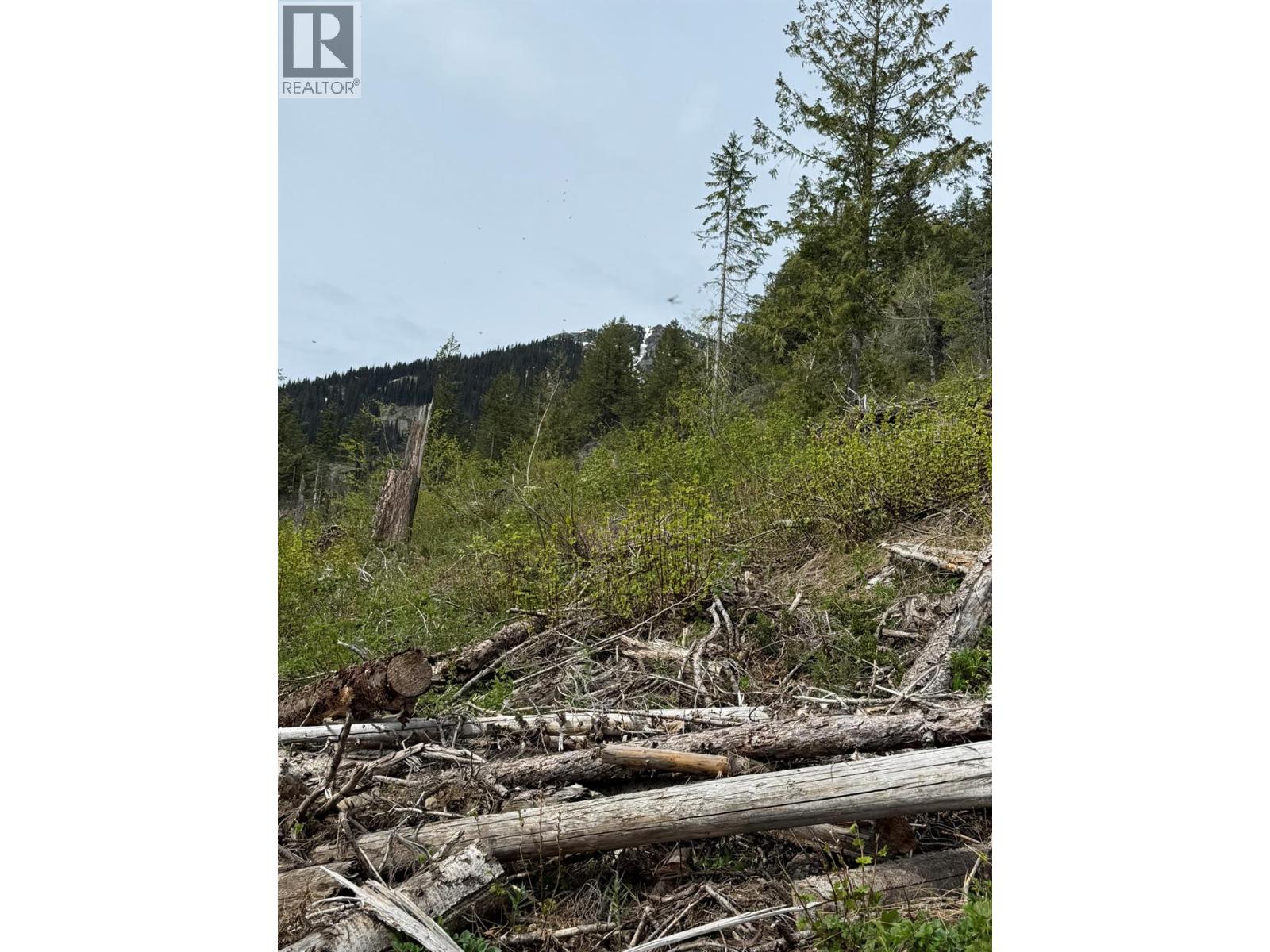 Dl640 Granite Mountain Road, Rossland, British Columbia  V0G 1Y0 - Photo 6 - 10386846