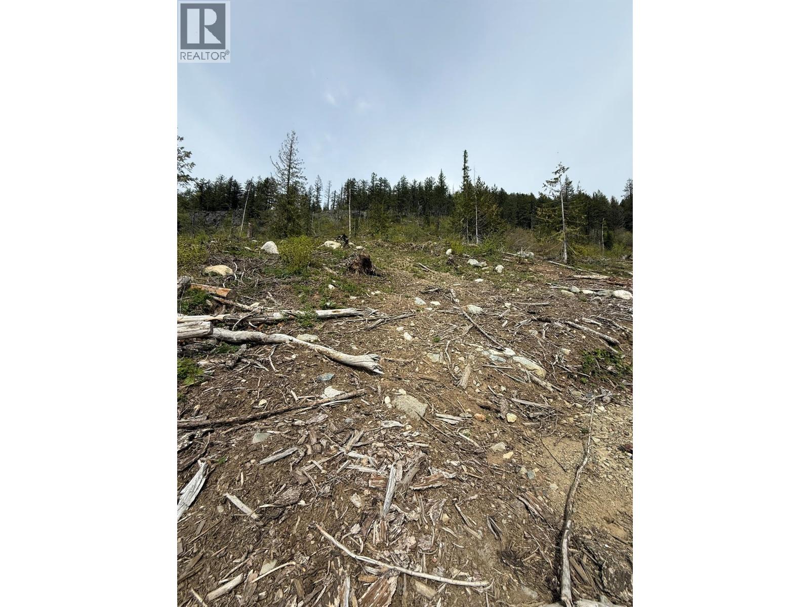 Dl640 Granite Mountain Road, Rossland, British Columbia  V0G 1Y0 - Photo 7 - 10386846