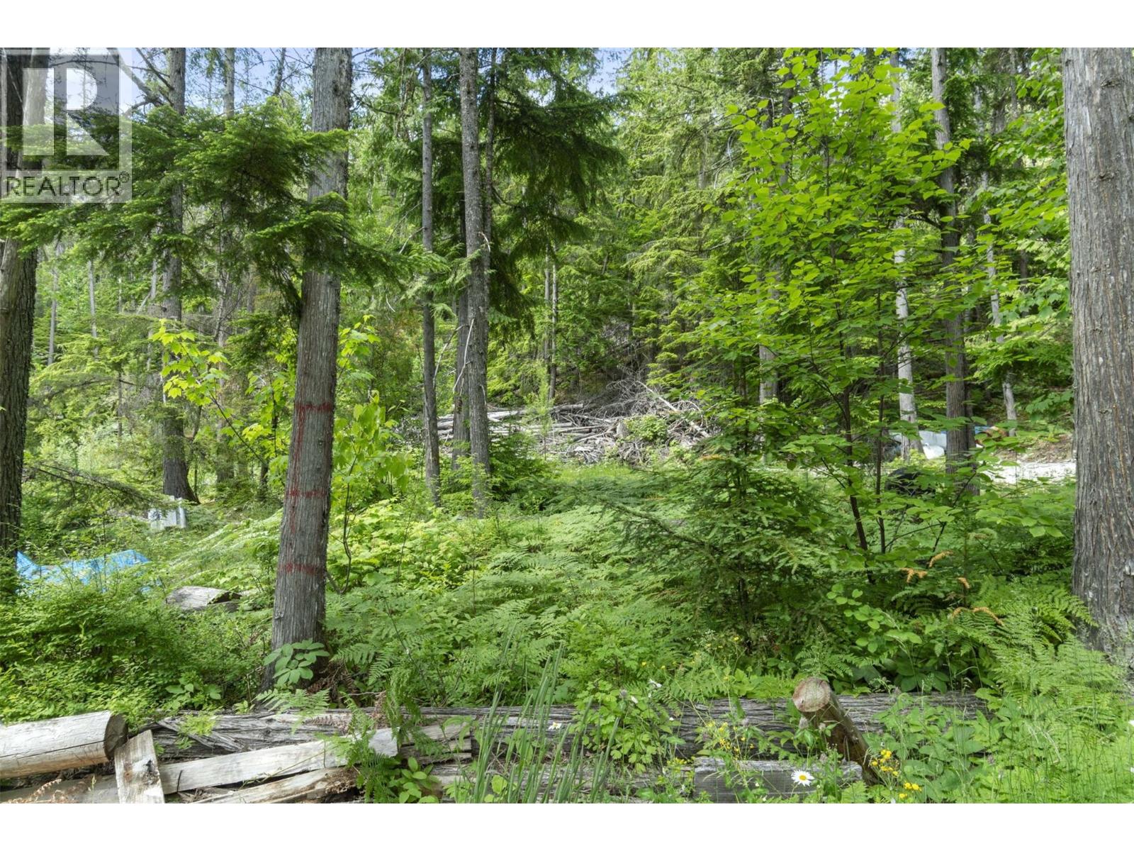 Block C Anstey Arm Unit# 1, Anstey Arm, British Columbia  V0E 1H1 - Photo 68 - 10387276