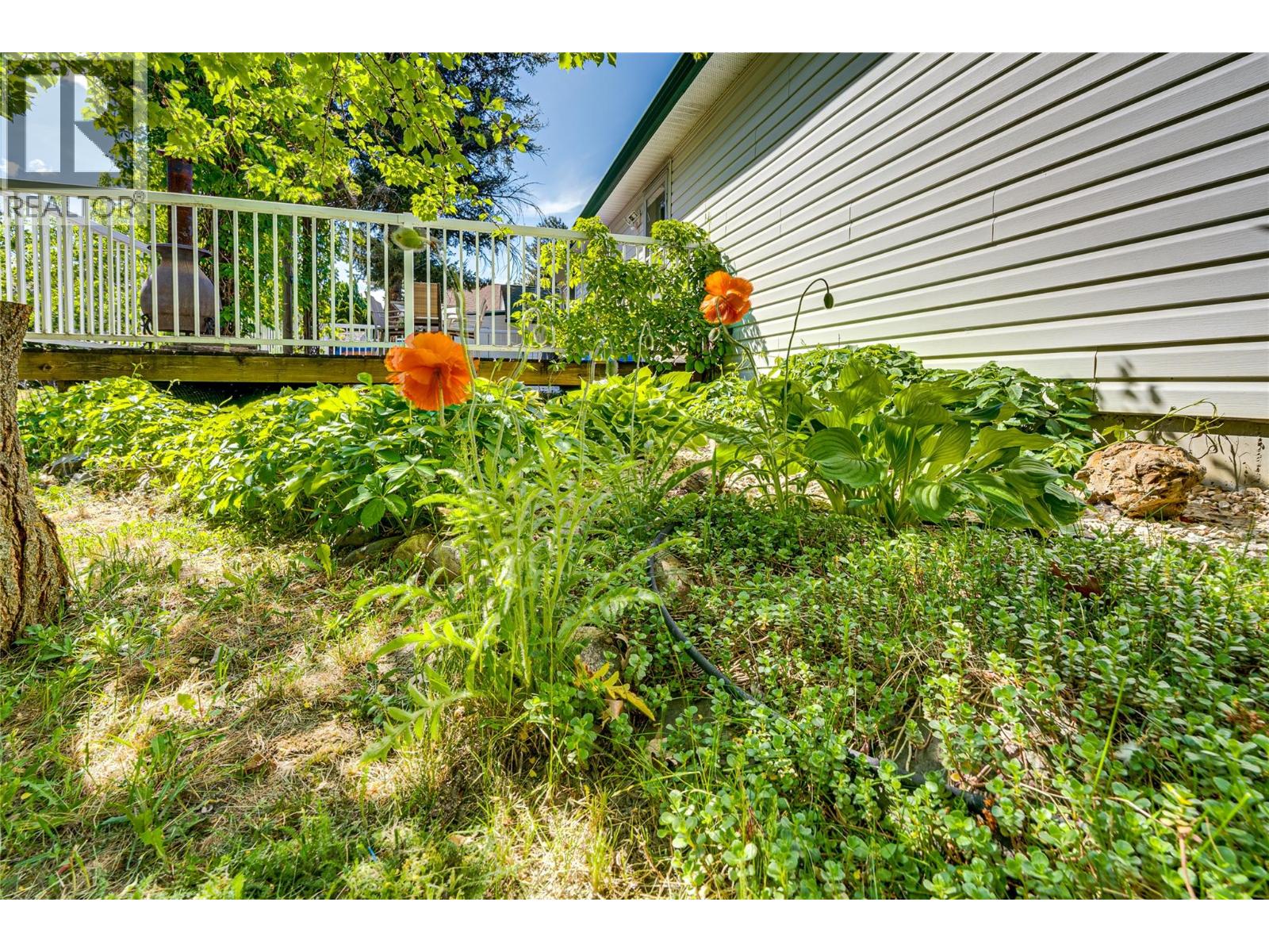 1902 50 Avenue, Vernon, British Columbia  V1T 4E8 - Photo 50 - 10387186
