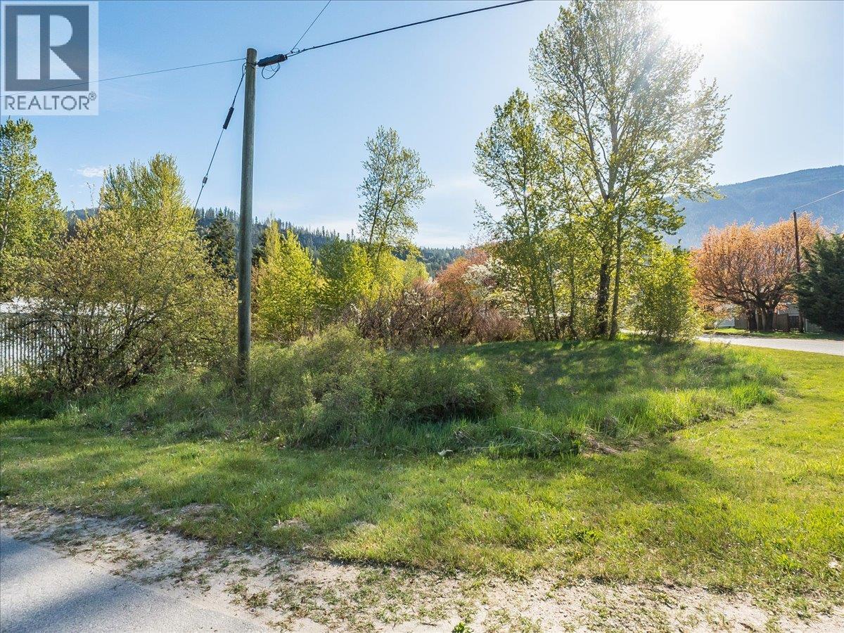 Main Street Lot# A, Slocan, British Columbia  V0G 2C0 - Photo 20 - 10387383