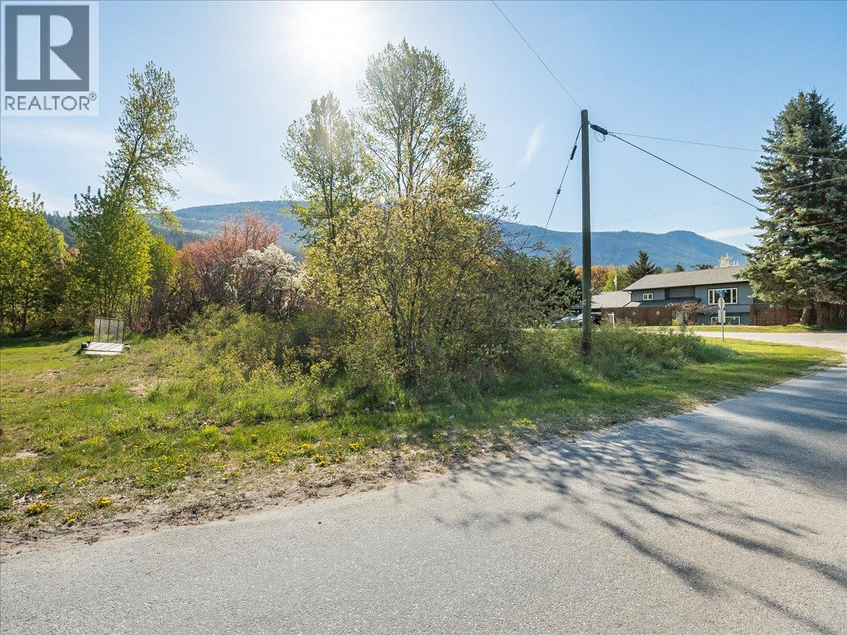 Main Street Lot# A, Slocan, British Columbia  V0G 2C0 - Photo 22 - 10387383