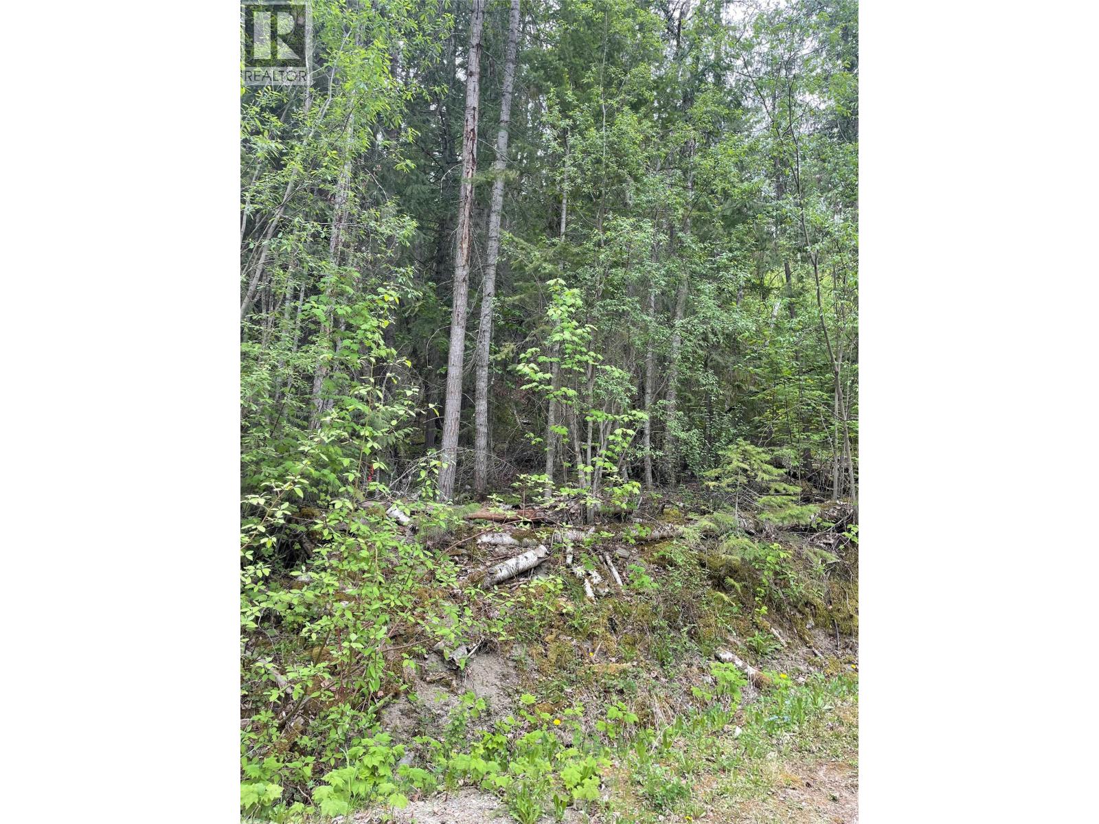 Greaves Road Lot# 24, eagle bay, British Columbia