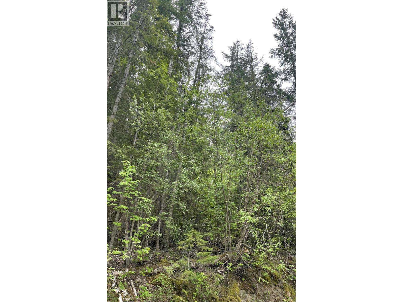 Greaves Road Lot# 24, Eagle Bay, British Columbia  V0E 1T0 - Photo 2 - 10387035