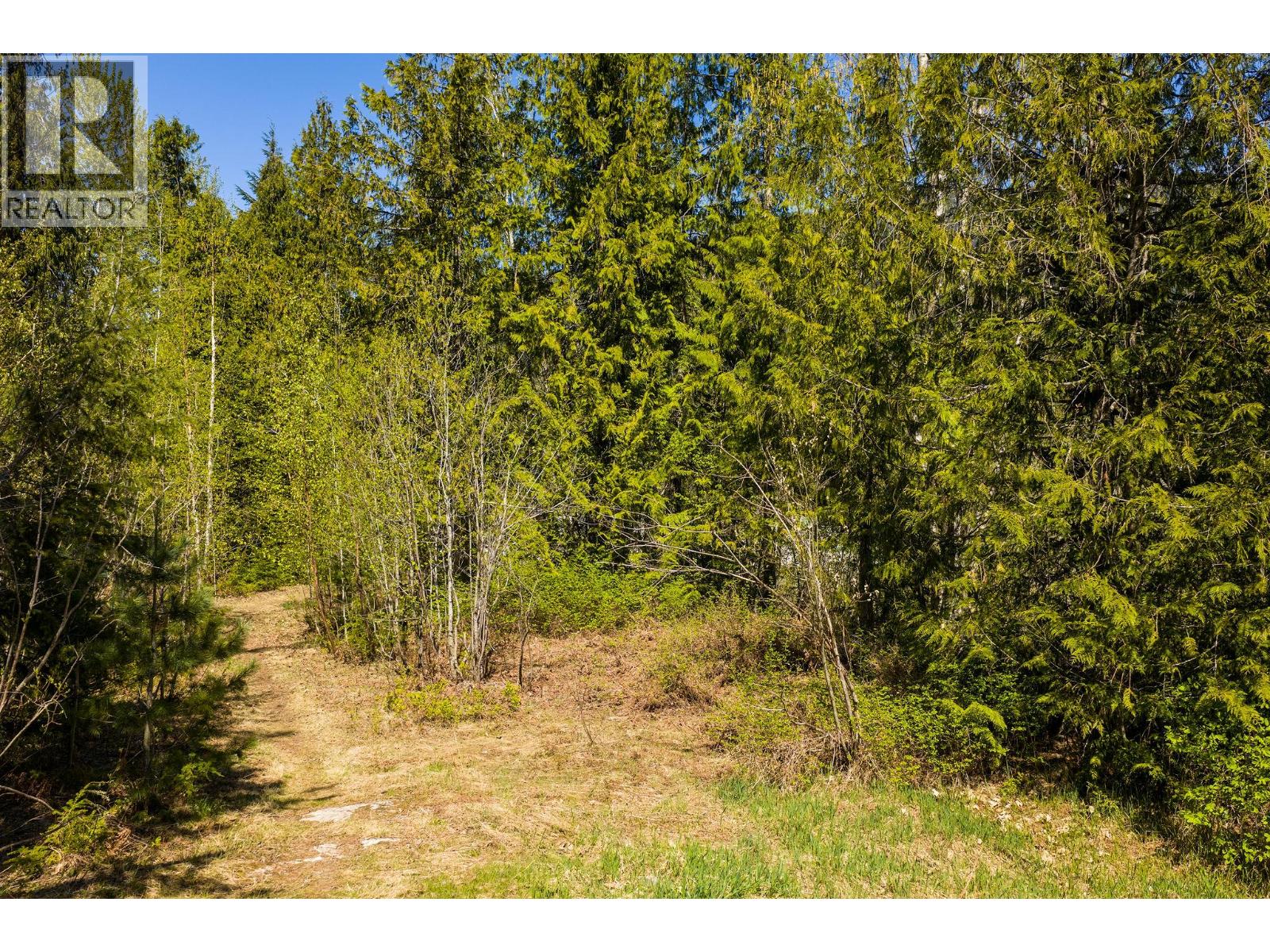 81 Johnson Way, Revelstoke, British Columbia  V0E 2S1 - Photo 34 - 10387449