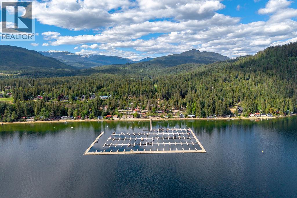 48 Mabel Lake Subdivision Road, Mabel Lake, British Columbia  V0E 1V5 - Photo 61 - 10387411