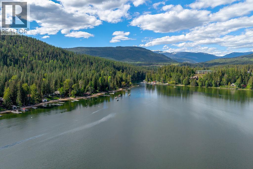 48 Mabel Lake Subdivision Road, Mabel Lake, British Columbia  V0E 1V5 - Photo 69 - 10387411
