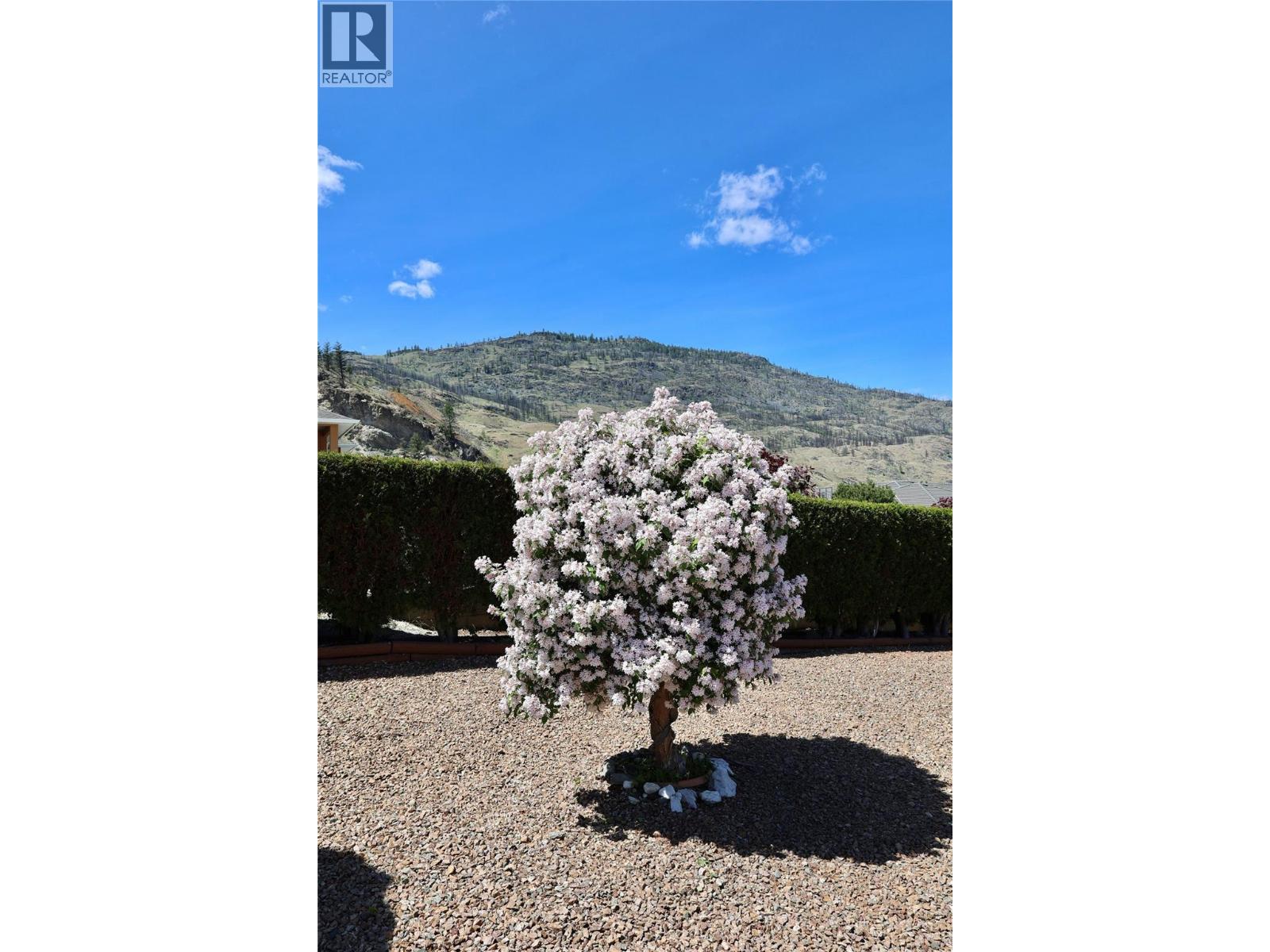 11900 Olympic View, Osoyoos, British Columbia  V0H 1V4 - Photo 63 - 10387092