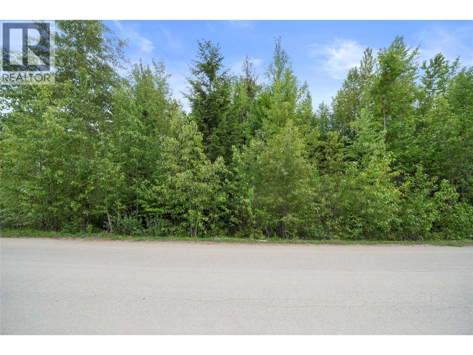 Lot 24 Ridge Road, Eagle Bay, British Columbia  V0E 1T0 - Photo 6 - 10387471