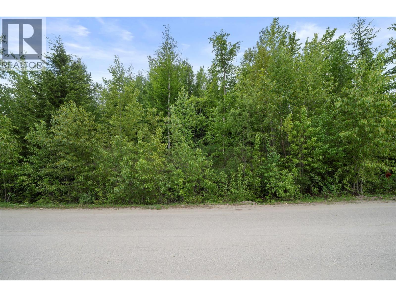 Lot 24 Ridge Road, Eagle Bay, British Columbia  V0E 1T0 - Photo 7 - 10387471