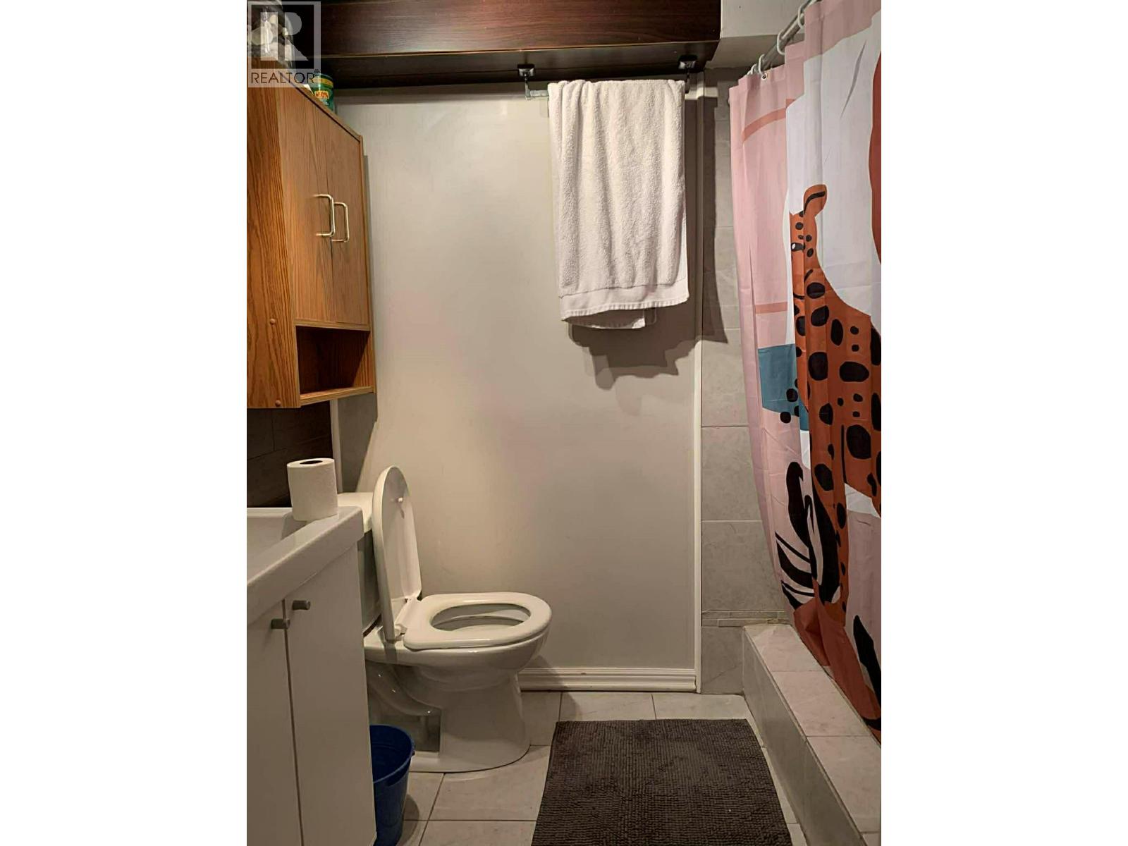 1013 Slocan Street, Slocan, British Columbia  V1L 2C0 - Photo 36 - 10387377
