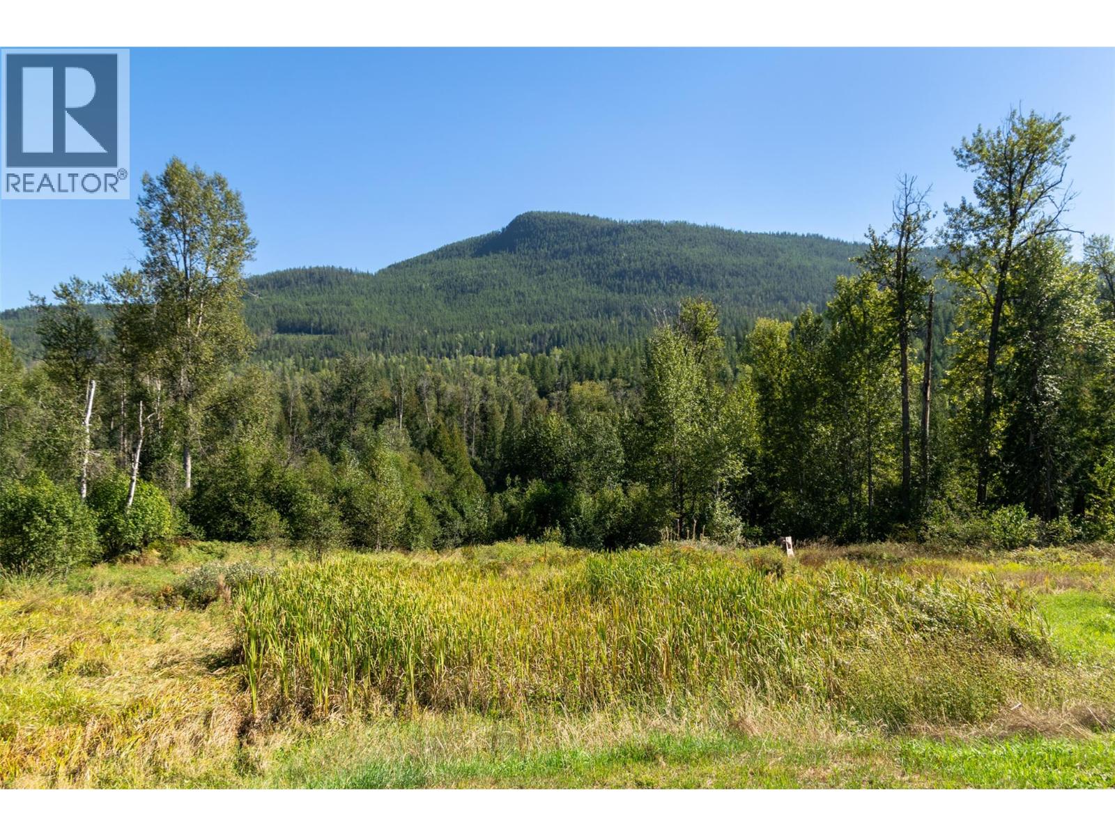 2904 Enderby Mabel Lake Road, Enderby, British Columbia  V0E 1V5 - Photo 83 - 10387333