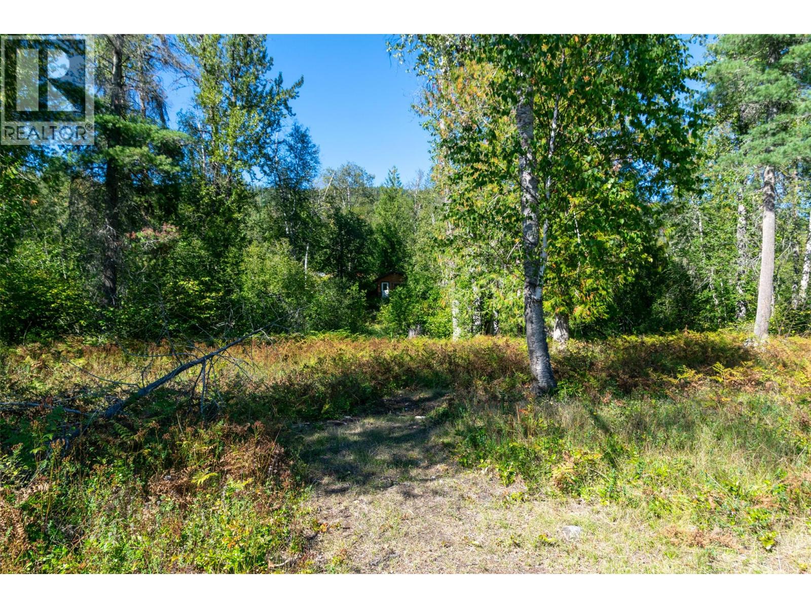 2904 Enderby Mabel Lake Road, Enderby, British Columbia  V0E 1V5 - Photo 84 - 10387333