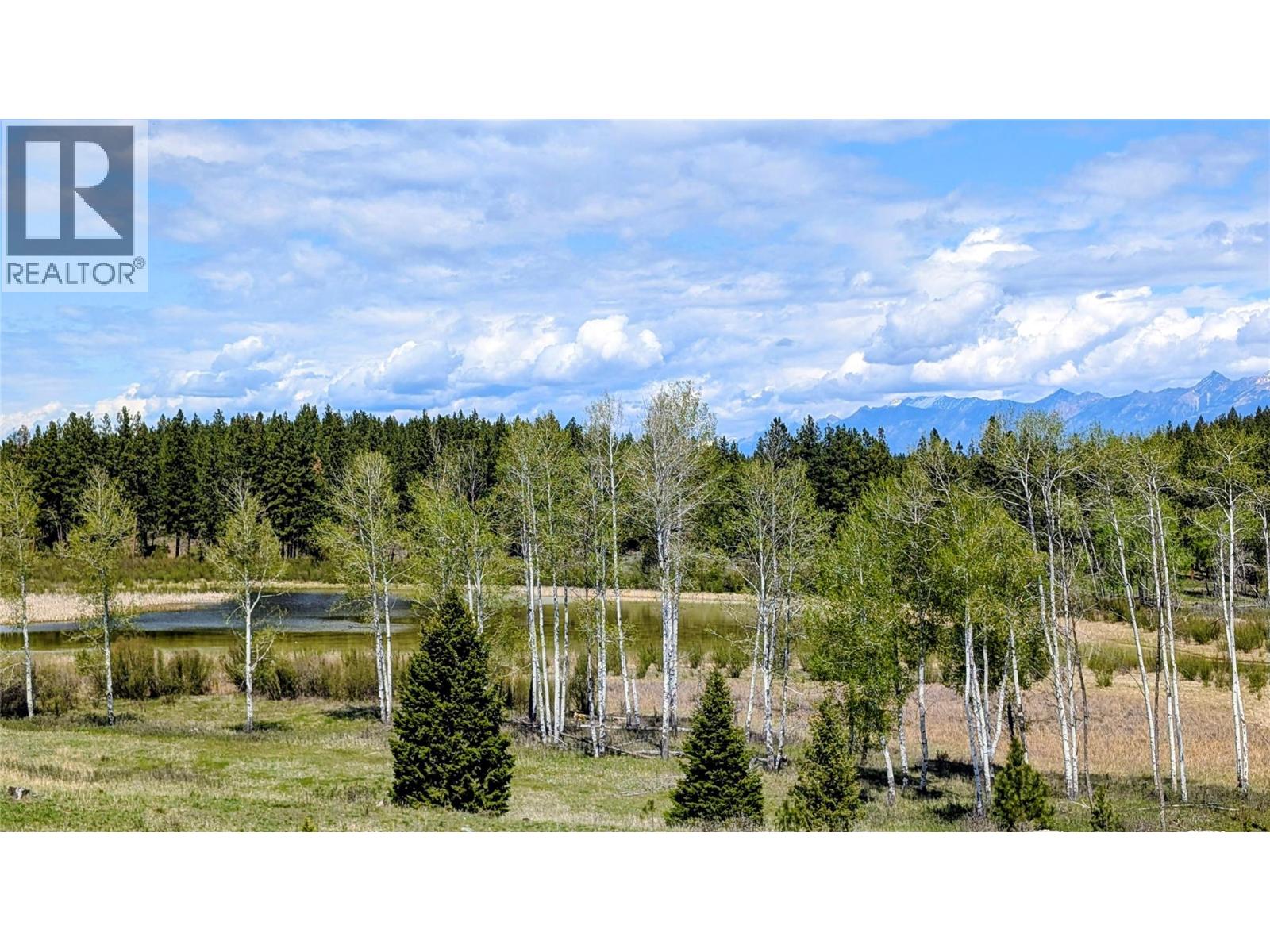 4165 Ld Ranch Road, Kimberley, British Columbia  V1A 3L4 - Photo 58 - 10387281
