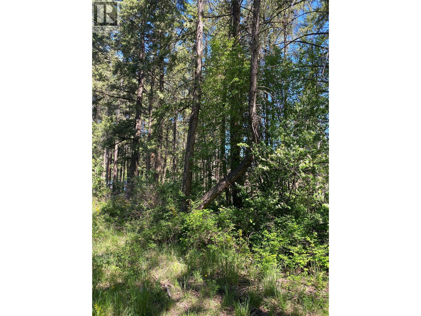 867 Balsam Road, Kelowna, British Columbia  V1Z 3V8 - Photo 7 - 10387398