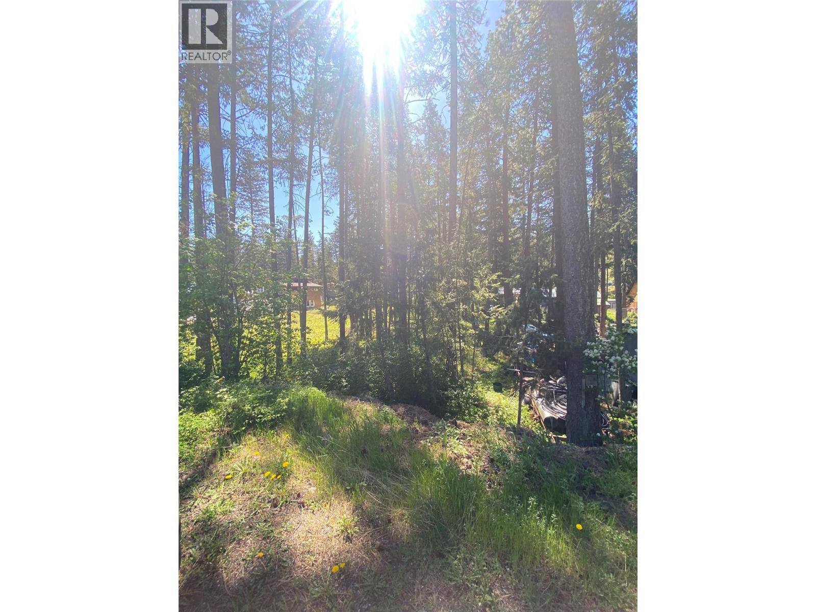 867 Balsam Road, Kelowna, British Columbia  V1Z 3V8 - Photo 9 - 10387398