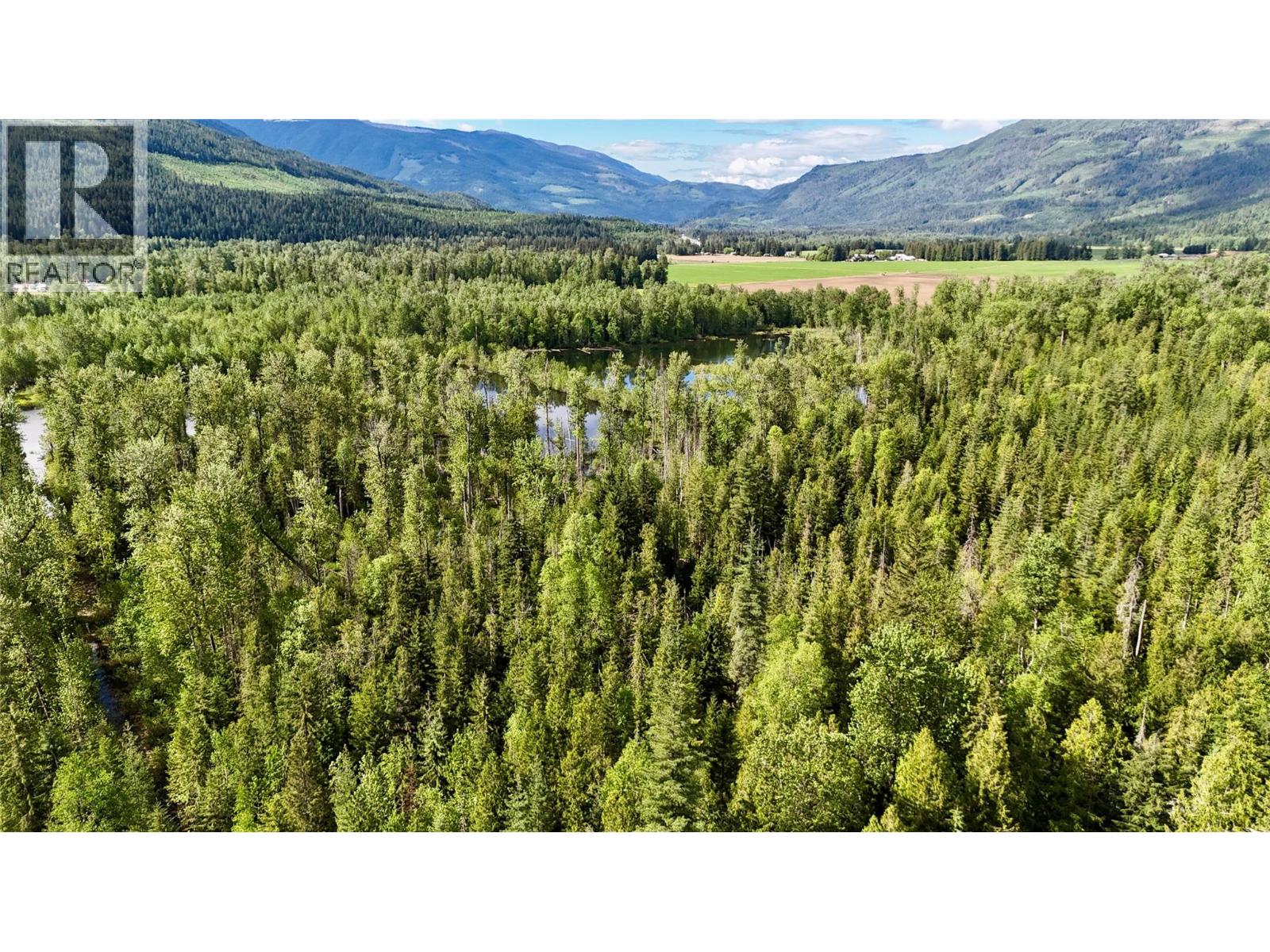 4751 Lybarger Road, Craigellachie, British Columbia  V0E 2J0 - Photo 9 - 10387247