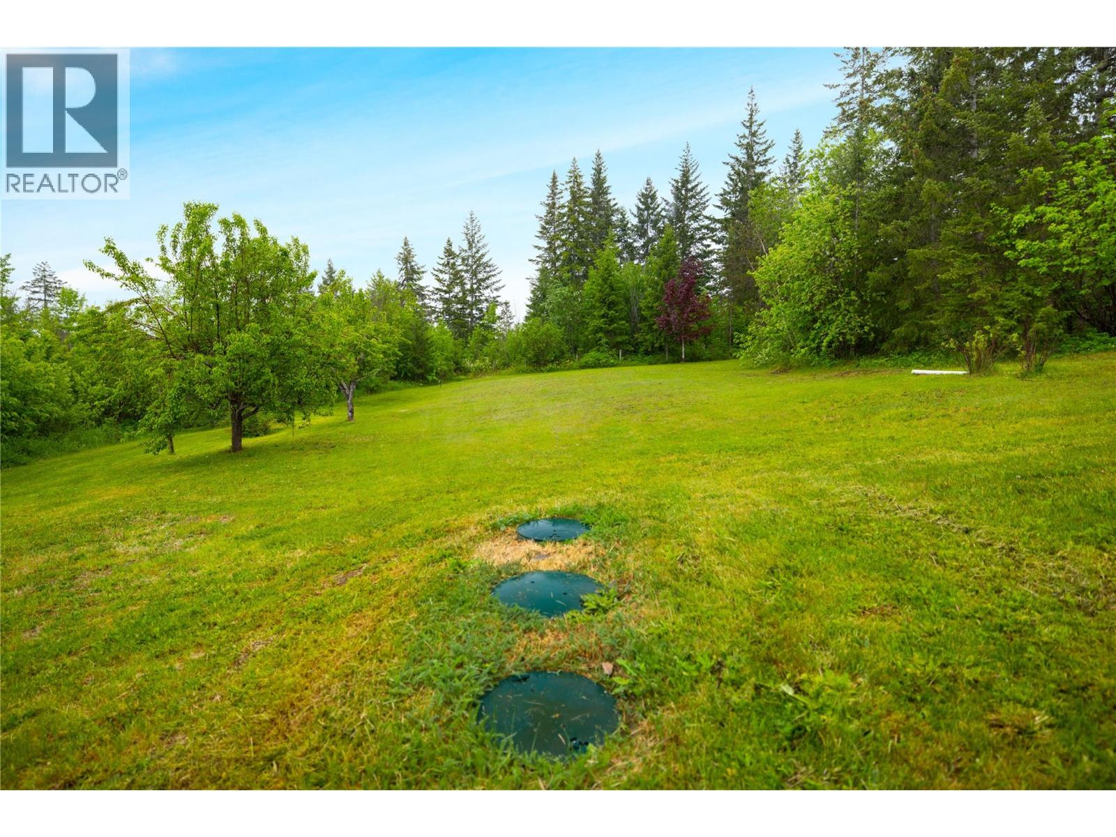 65 Grove Road, Enderby, British Columbia  V0E 1V3 - Photo 45 - 10387690
